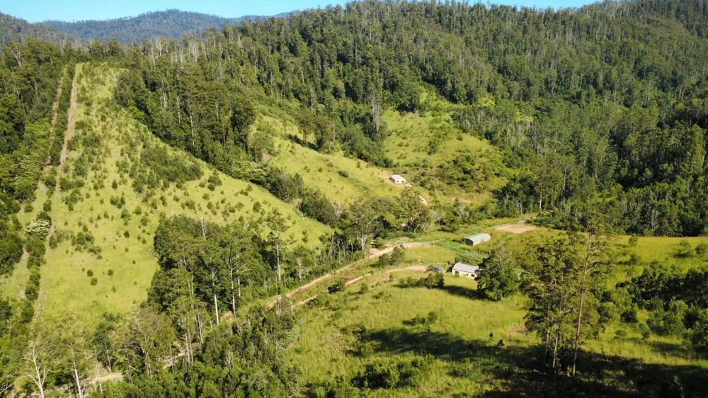 222 Pappinbarra Road Left Arm, Upper Pappinbarra NSW 2446