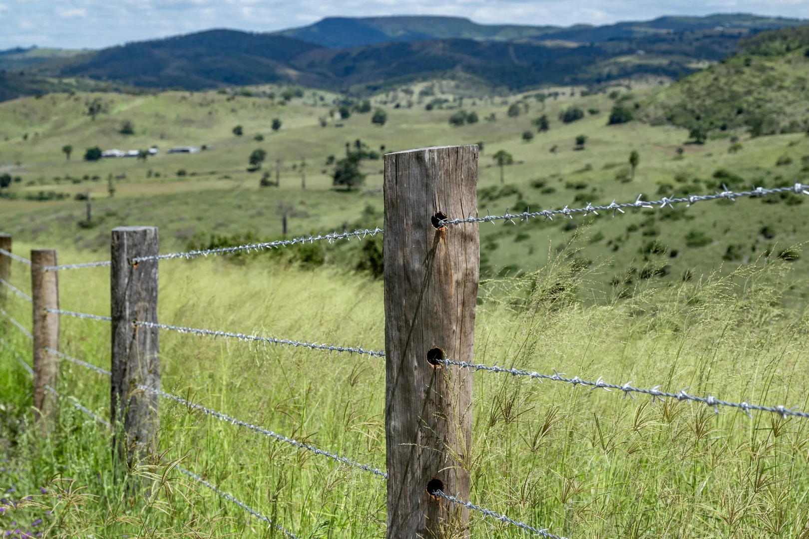 Additional image 22 of 'Double Knob' Nangur Road, Tansey QLD 4601