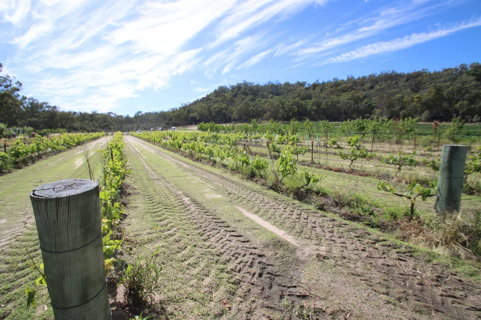 Additional image 4 of 27779A New England Highway, Fletcher QLD 4381