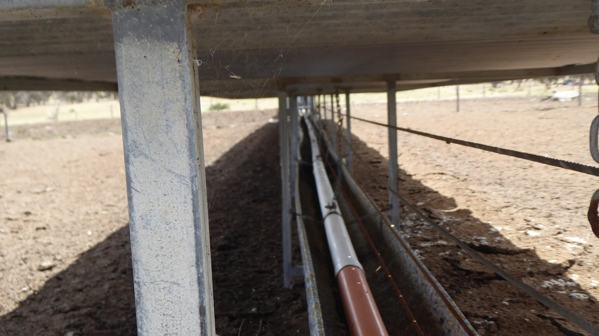 Additional image 4 of Lot 1 Walkington Hills Road, Frances SA 5262