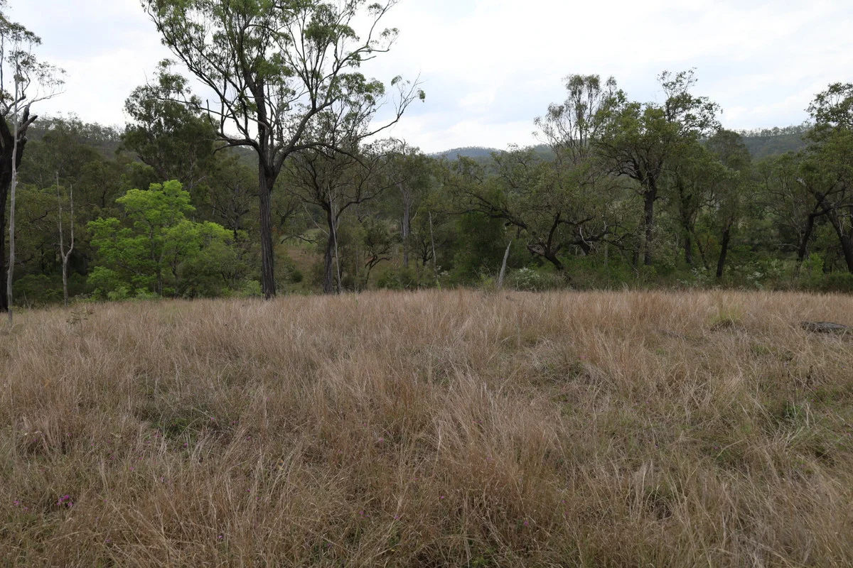 Additional image 13 of 479 Pine Mountain Creek Road, Monto QLD 4630