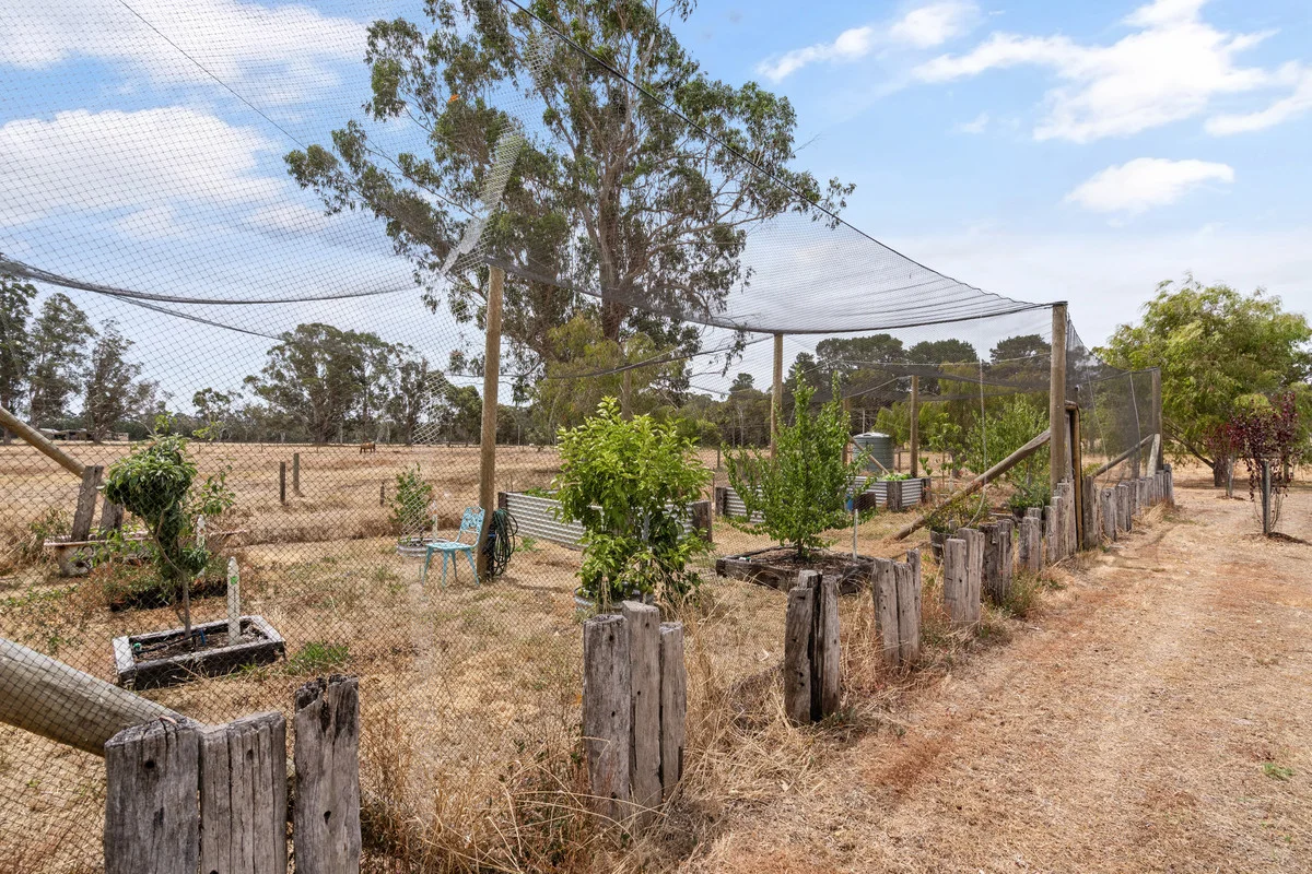 Additional image 16 of 269 Arthur Road, Rosa Brook WA 6285