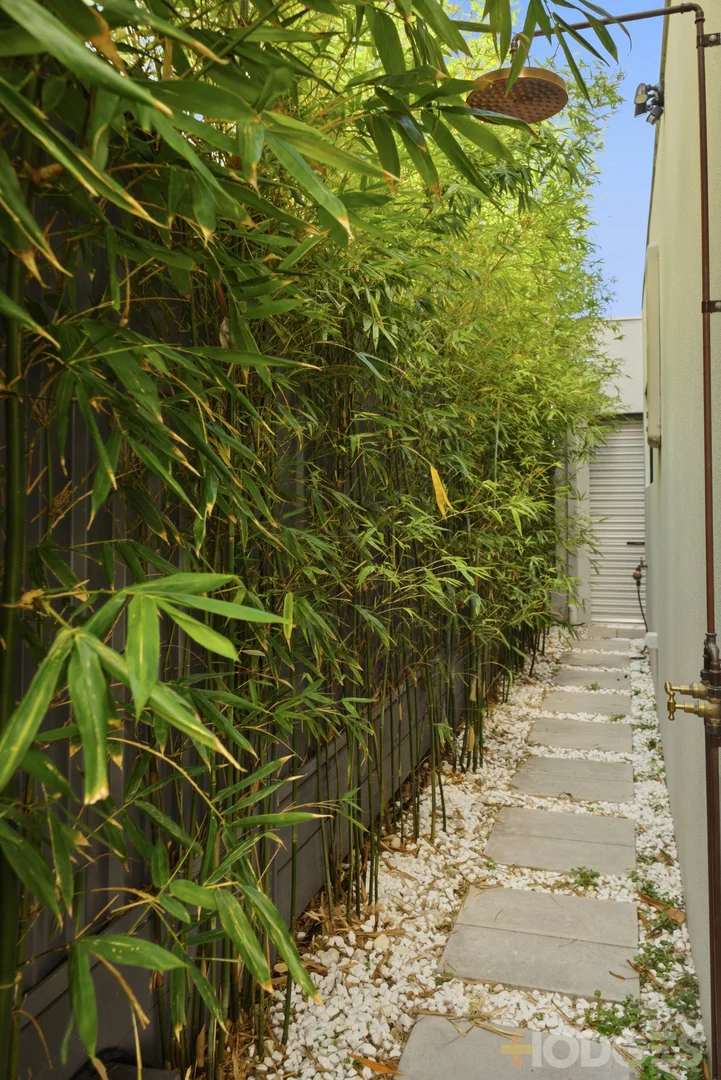 Additional image 25 of 20 Mitchell Street, Bentleigh VIC 3204