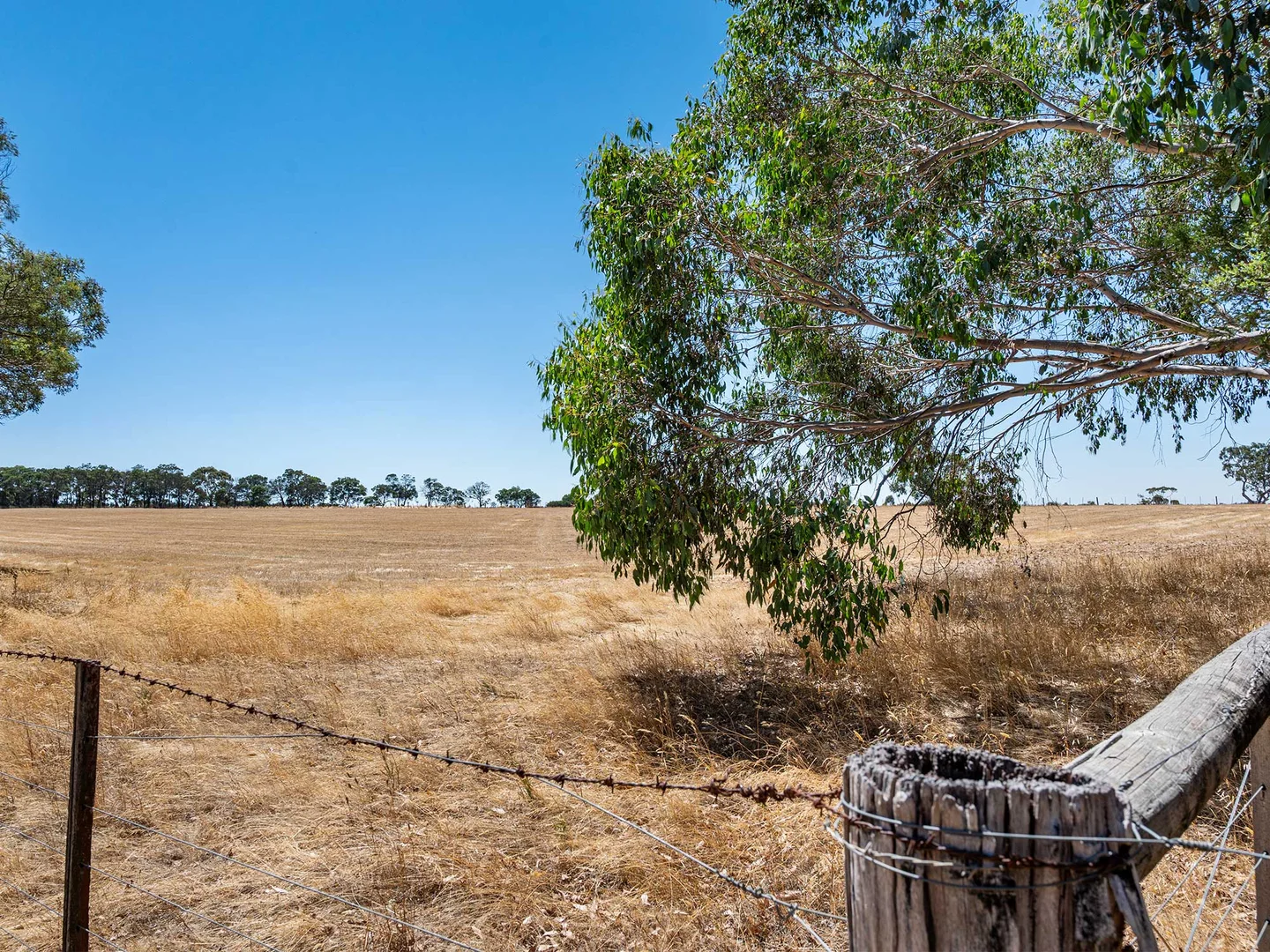 Additional image 9 of 42 Beveridges Road, Hamilton VIC 3300