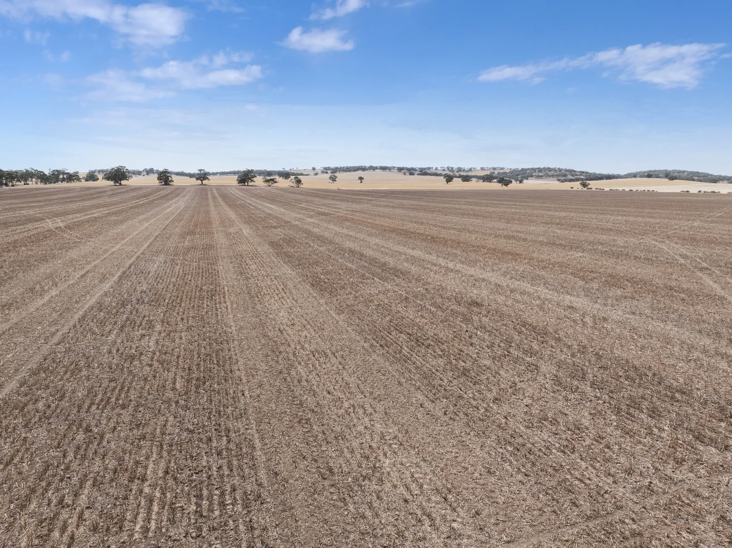 Additional image 9 of 'Murrays' Orana Road, Marrabel SA 5413