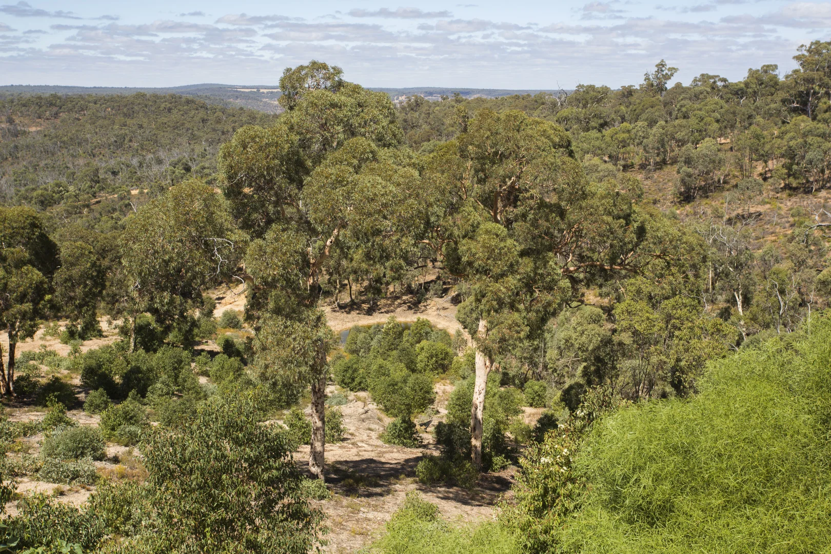 Additional image 27 of 240 Turtledove Drive, Lower Chittering WA 6084