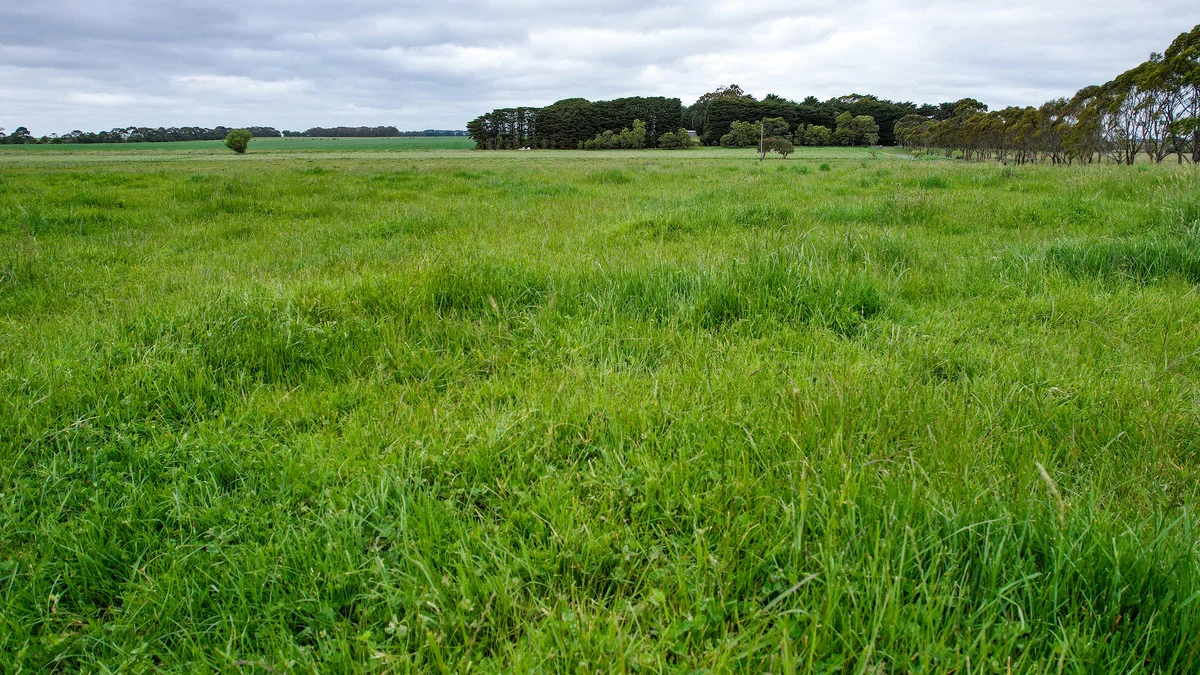 Additional image 45 of 'Laguna' 495 Camerons Road, Woolsthorpe VIC 3276