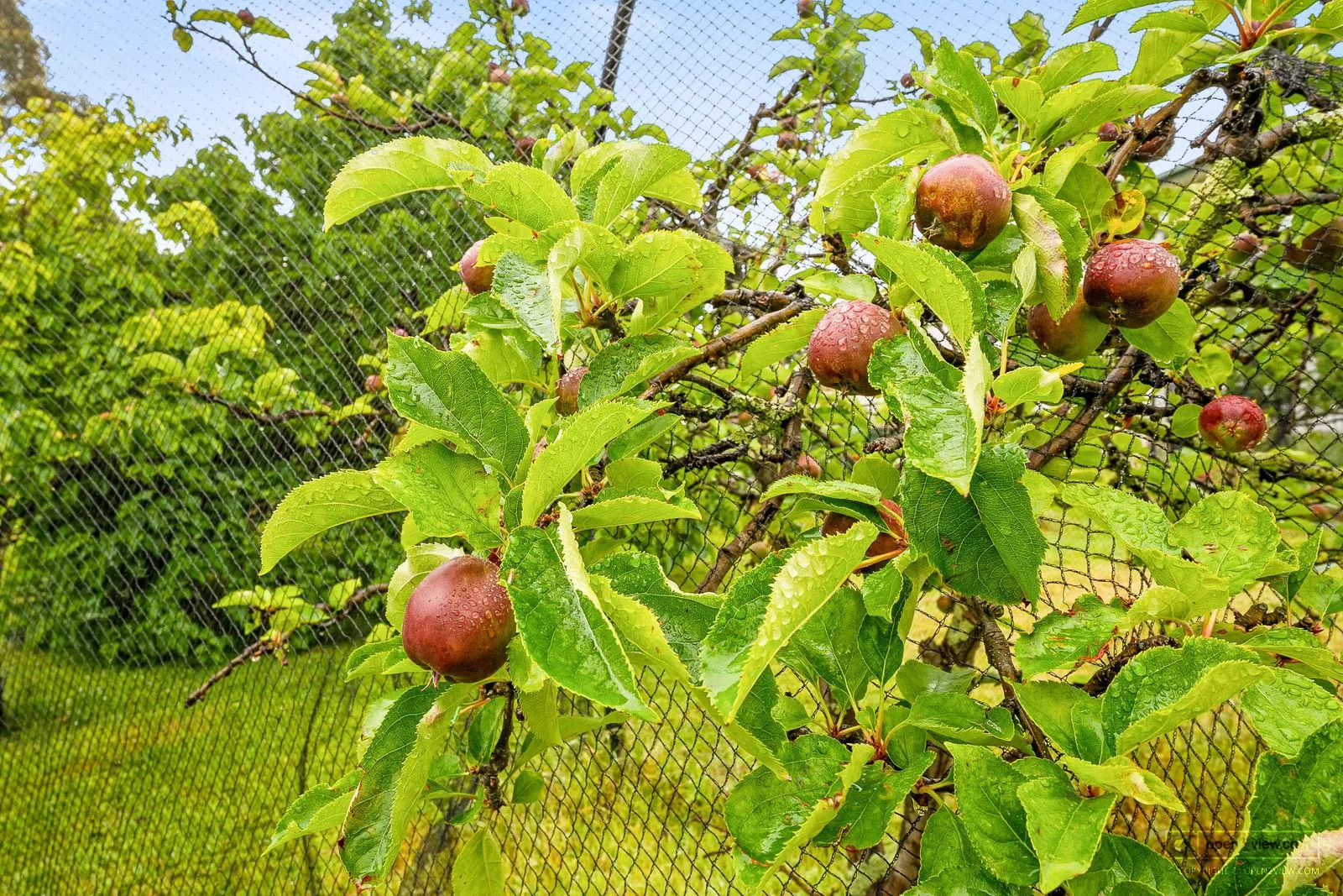 Additional image 26 of 20 Wisbys Road, North Bruny TAS 7150