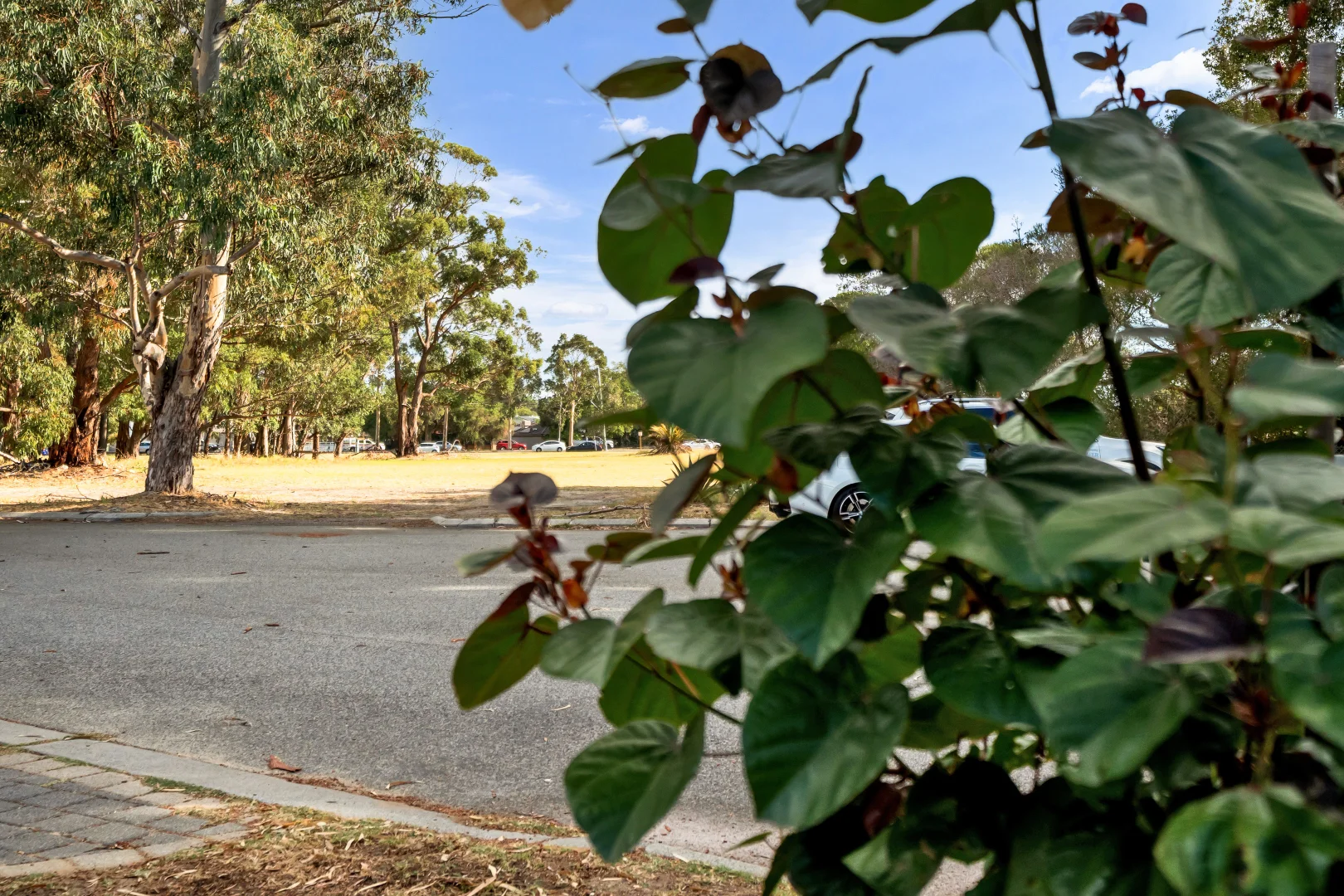 Additional image 17 of 2A Fleming Avenue, Bentley WA 6102