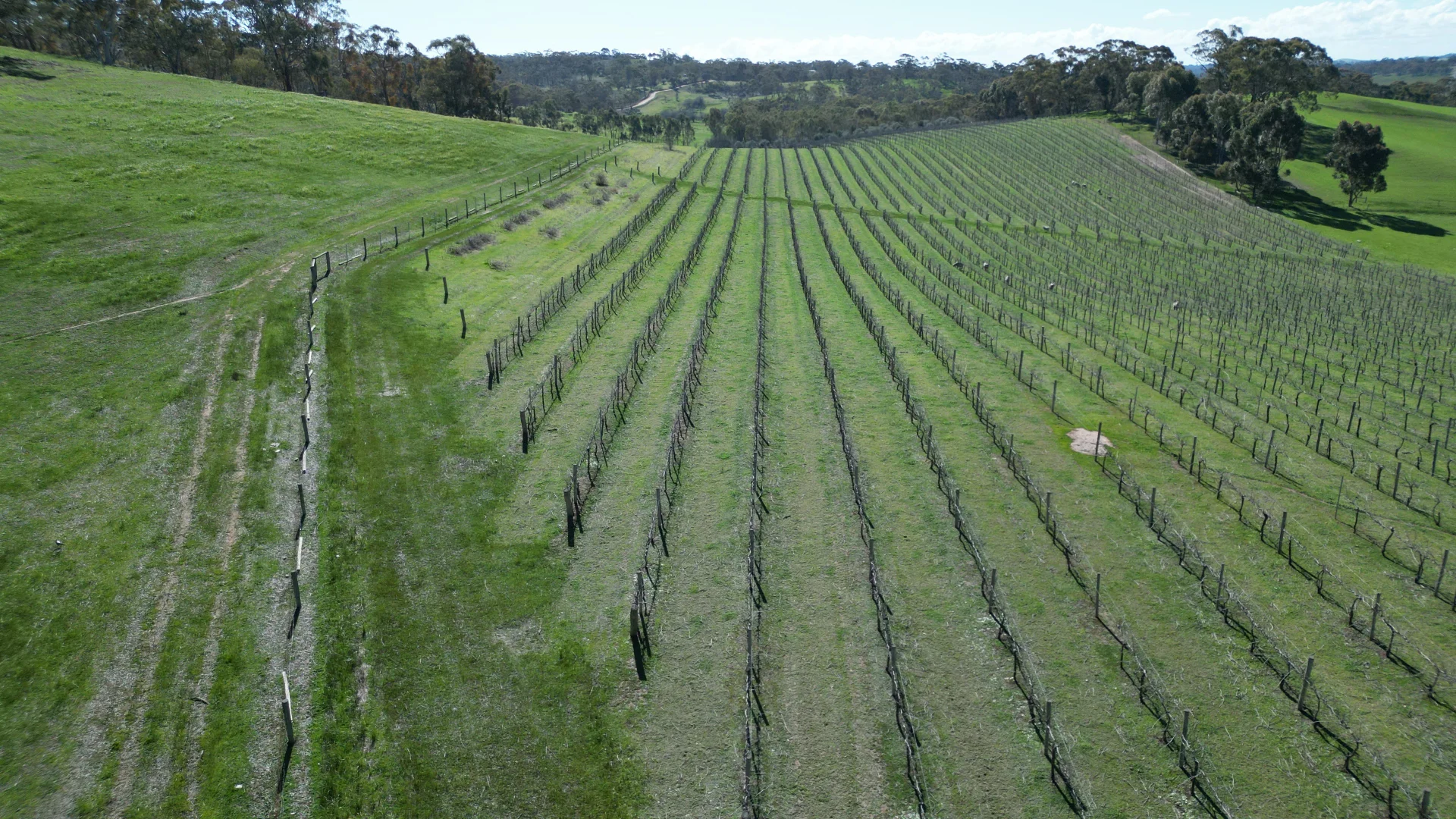 Additional image 11 of Lot 388 McCord Lane, Gillentown SA 5453