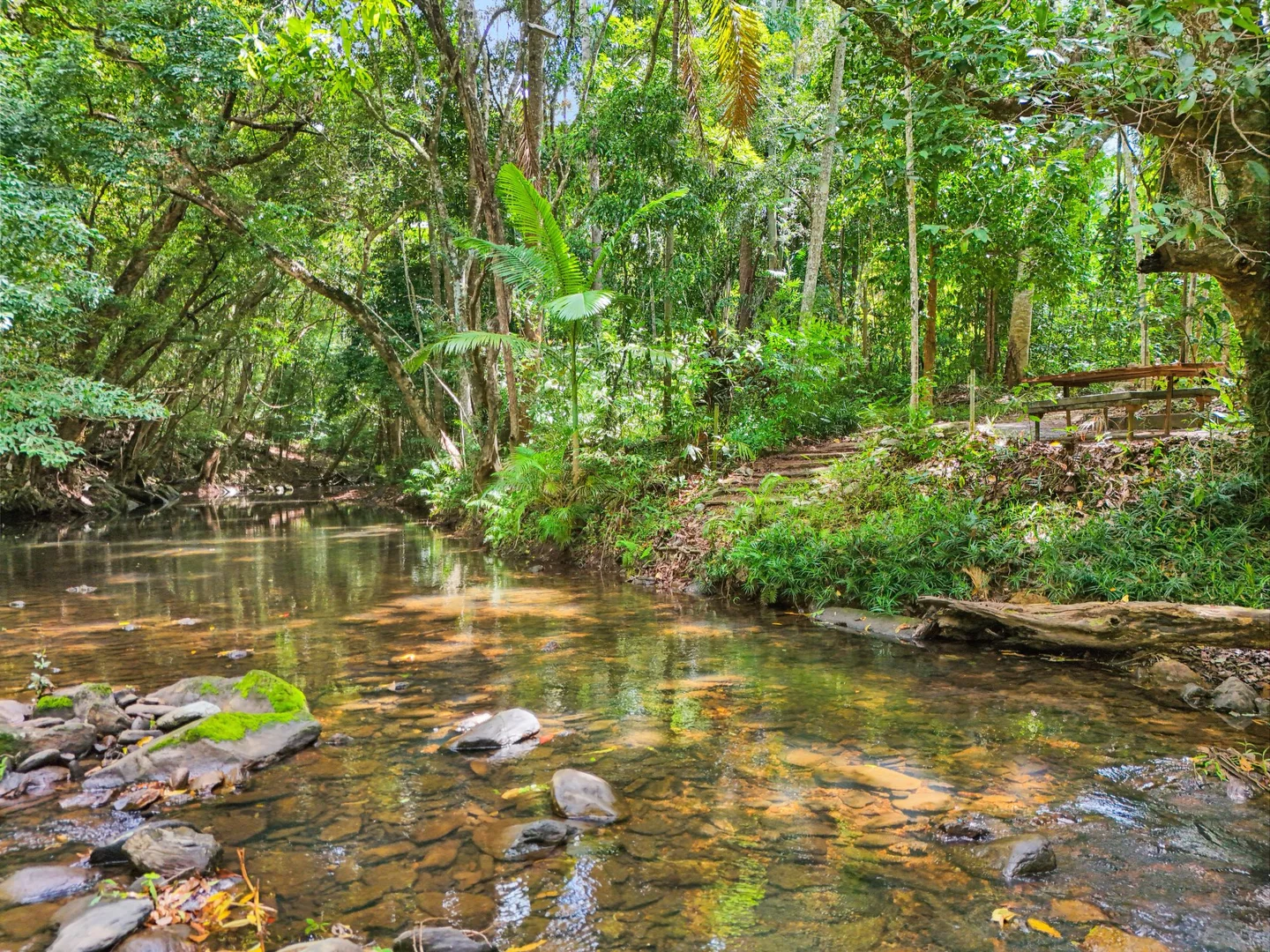 Additional image 4 of 63 Vico Street, Gordonvale QLD 4865