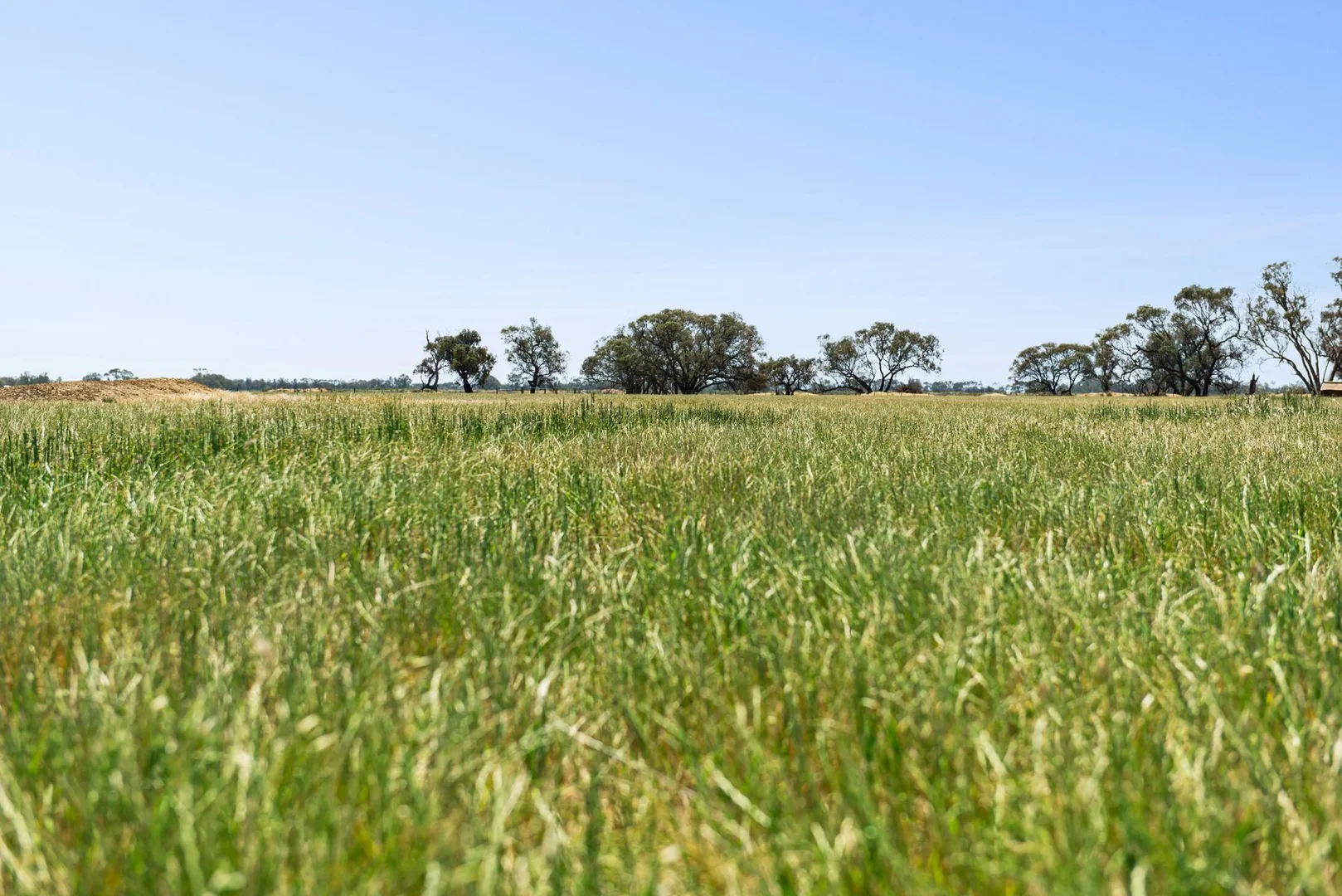 Additional image 2 of Lot N Murphys & Hercus Road, Calivil VIC 3573