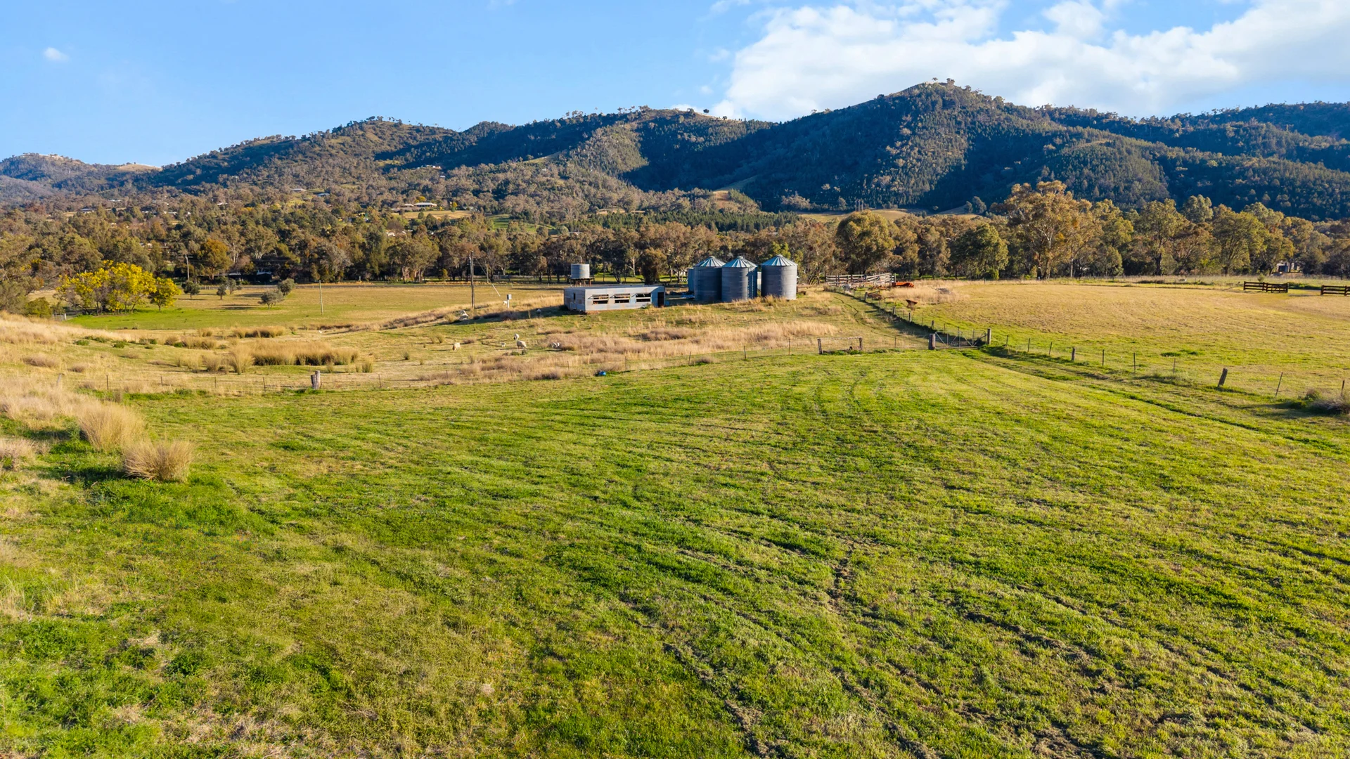 Additional image 40 of 24 Drop Bear Lane, Tamworth NSW 2340