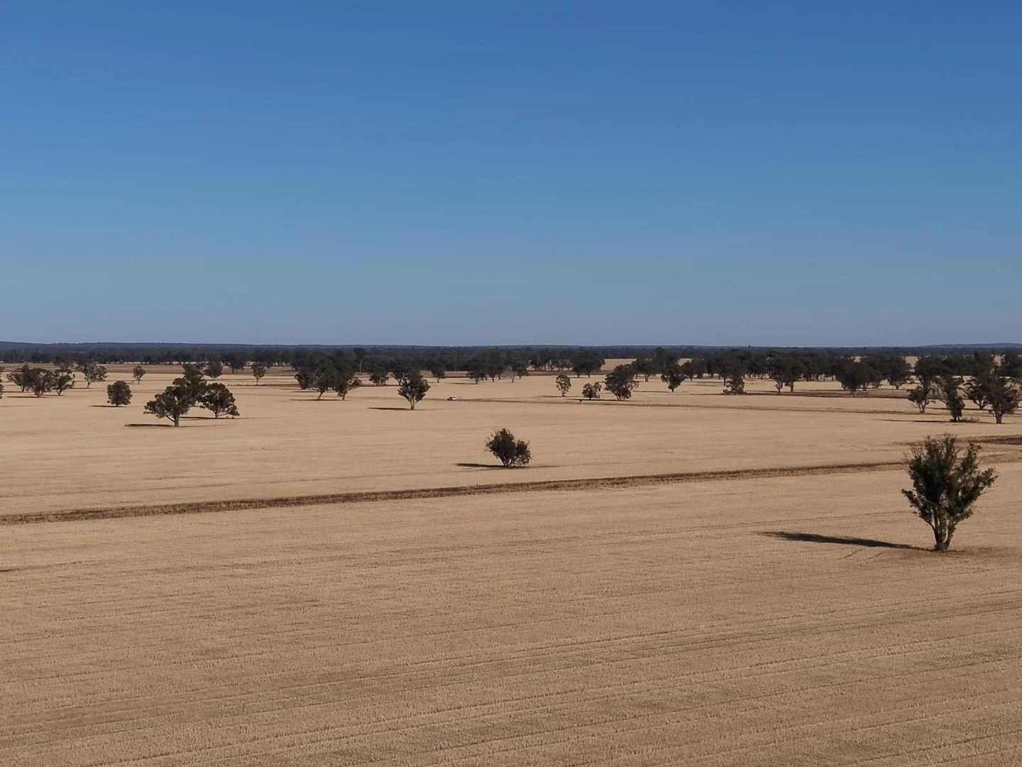 Additional image 3 of Part Woodville Blackstock Hill Road, Peak Hill NSW 2869