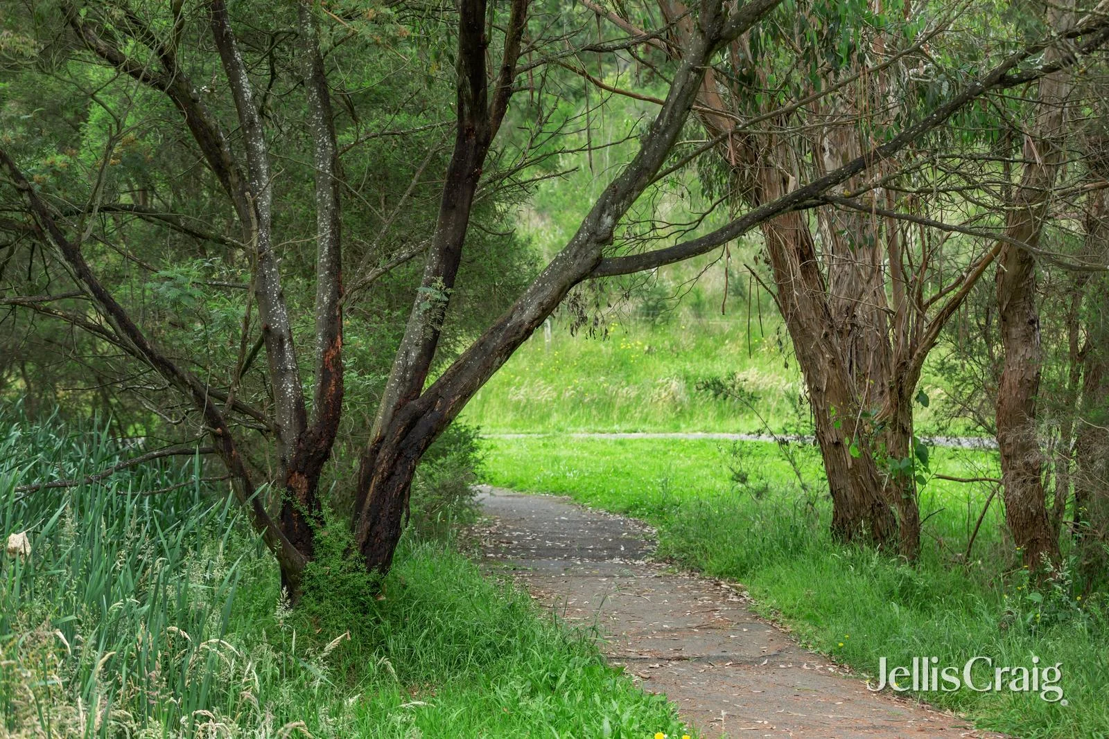 Additional image 15 of 45A Smiths Road, Templestowe VIC 3106