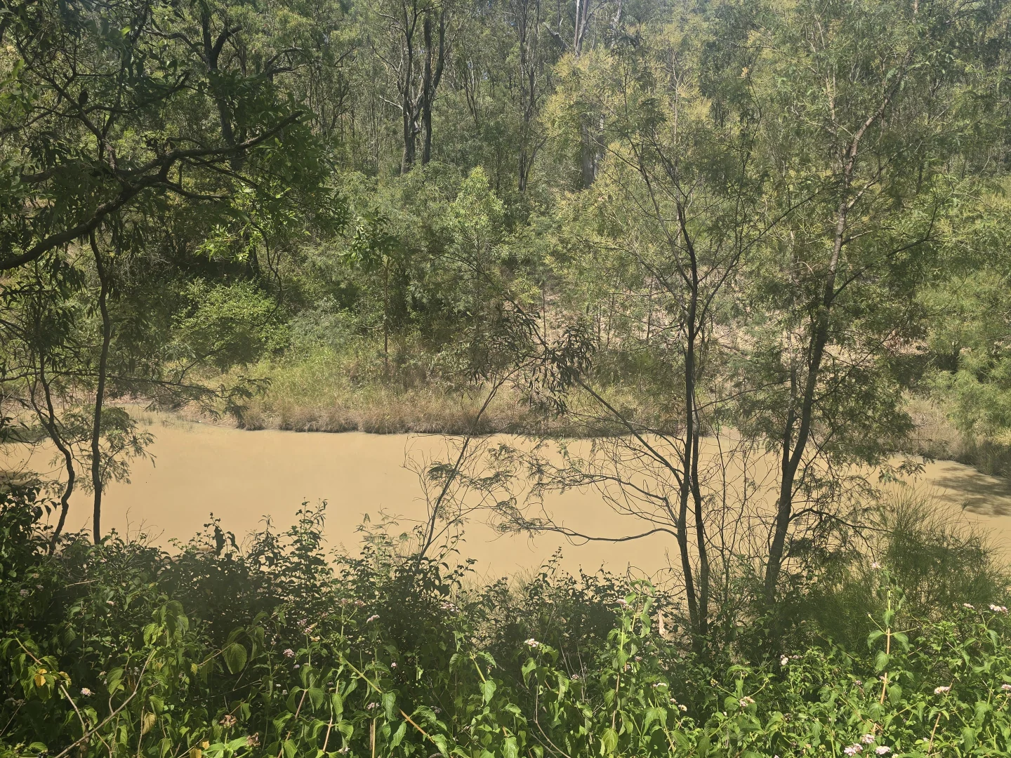 Additional image 21 of Lot 389 East Cooyar Road, Cooyar QLD 4402