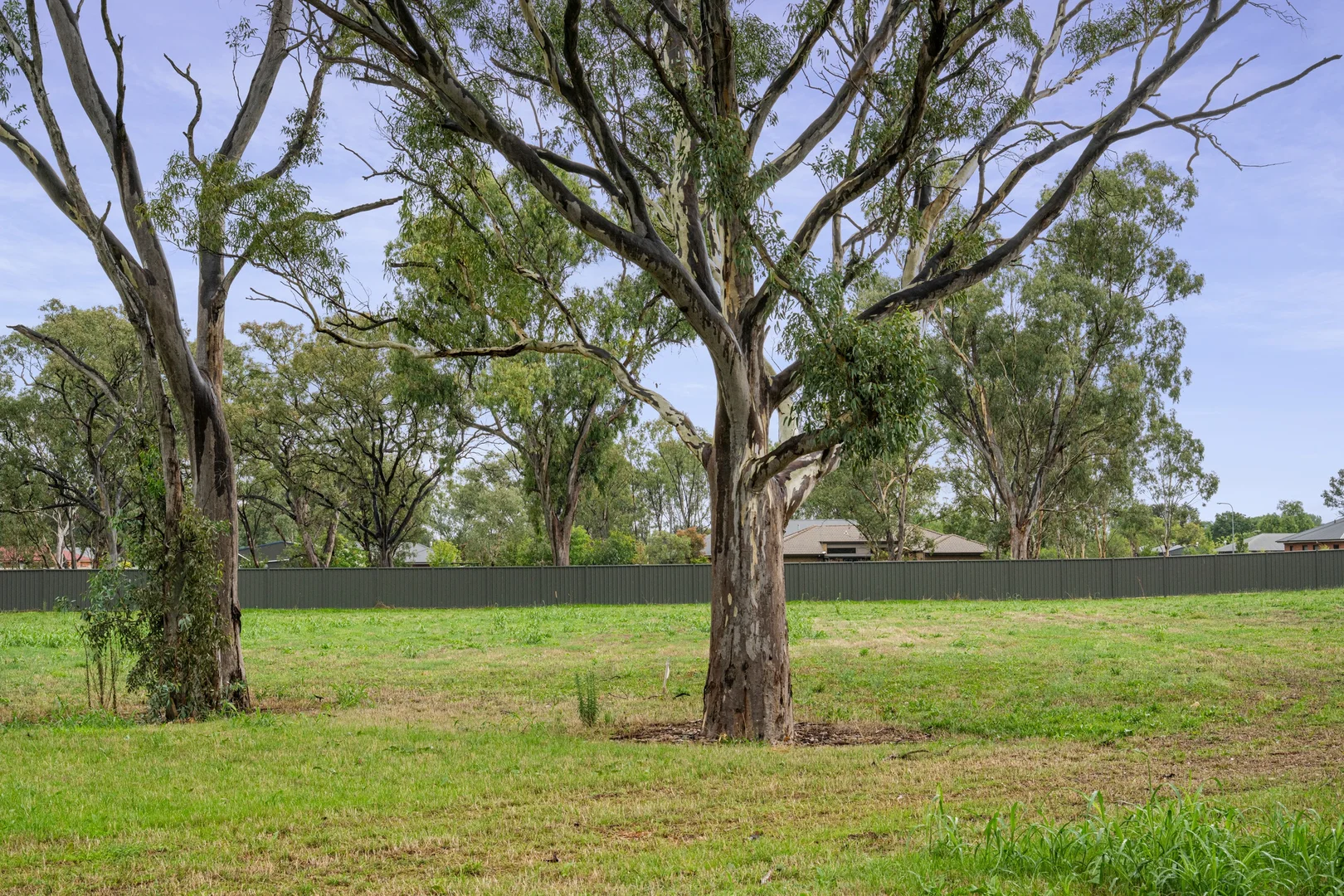 Additional image 8 of 116-120 Pioneer Drive, Jindera NSW 2642