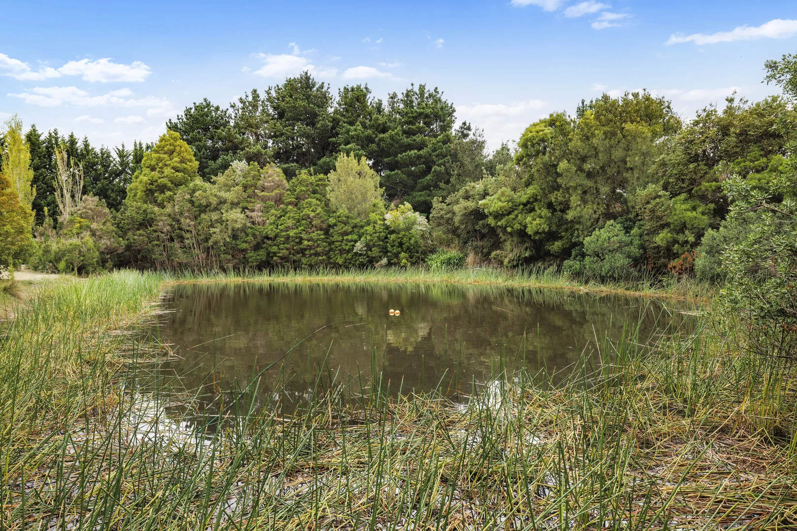 Additional image 17 of 44 Merricks Road, Merricks VIC 3916