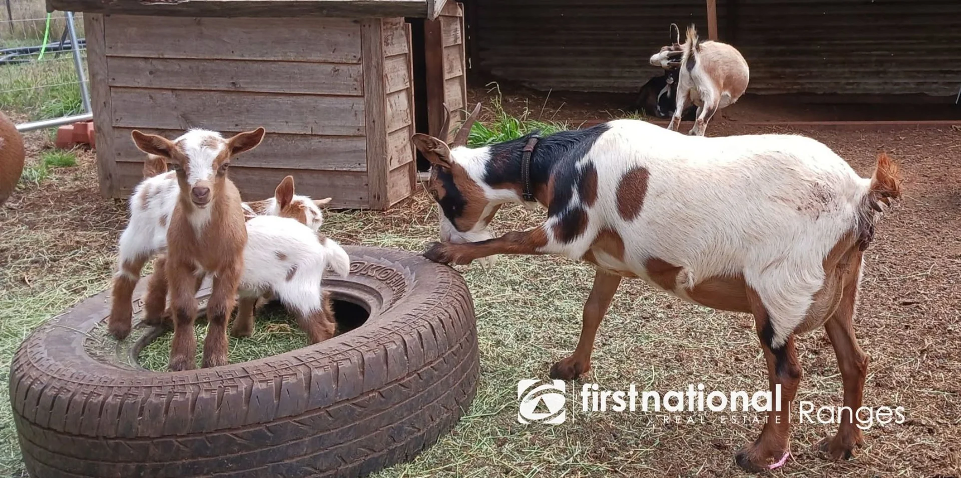 Additional image 4 of 73 Emerald Creek Road, Monbulk VIC 3793