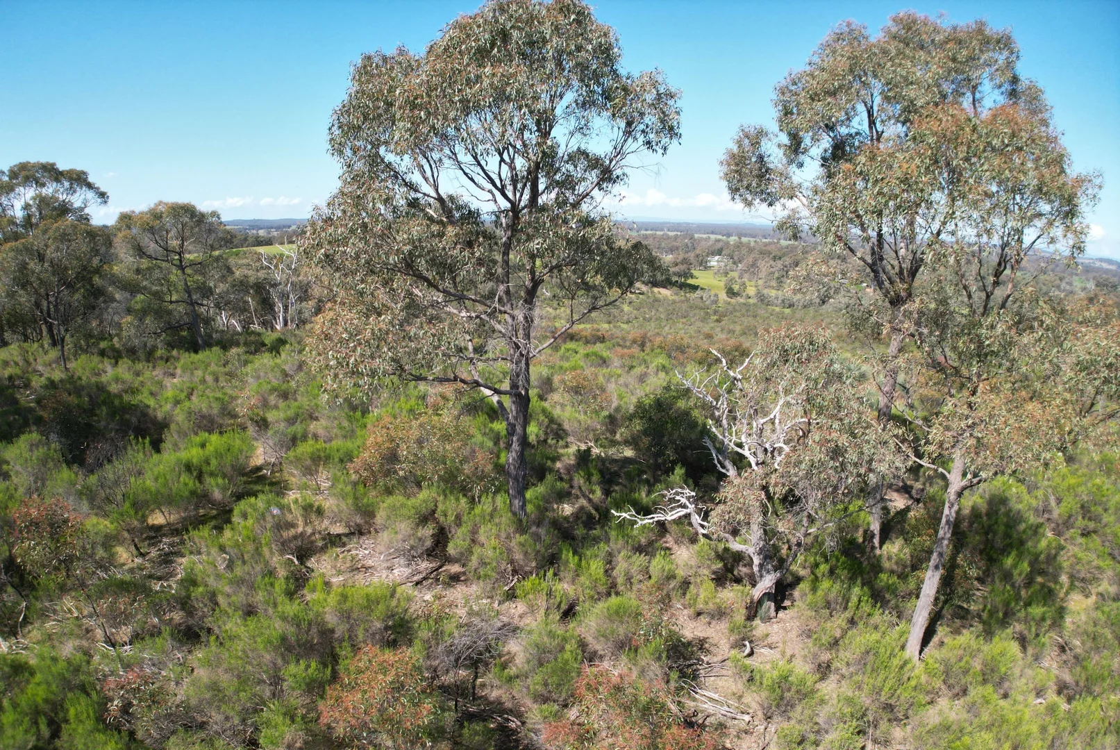 Additional image 11 of Lot 12 Heathcote-Nagambie Road, Moormbool West VIC 3523