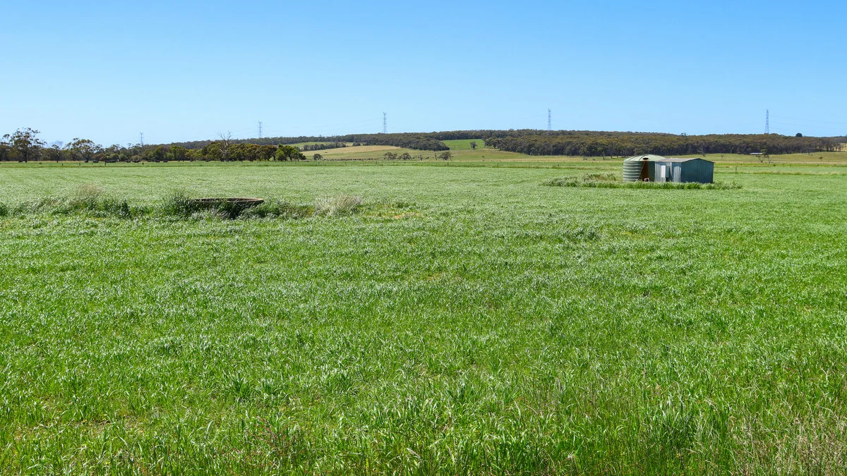 Additional image 29 of 111 Smith Street, Heywood VIC 3304