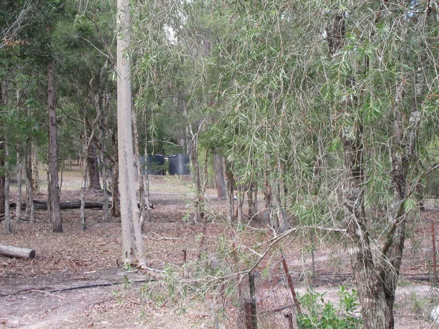 Additional image 28 of 20 Myall Forest Road, Bulahdelah NSW 2423