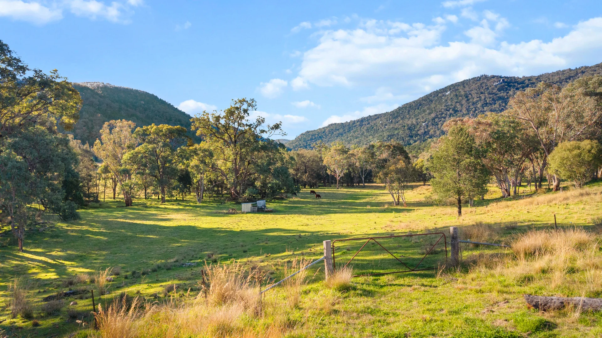 Additional image 39 of 24 Drop Bear Lane, Tamworth NSW 2340