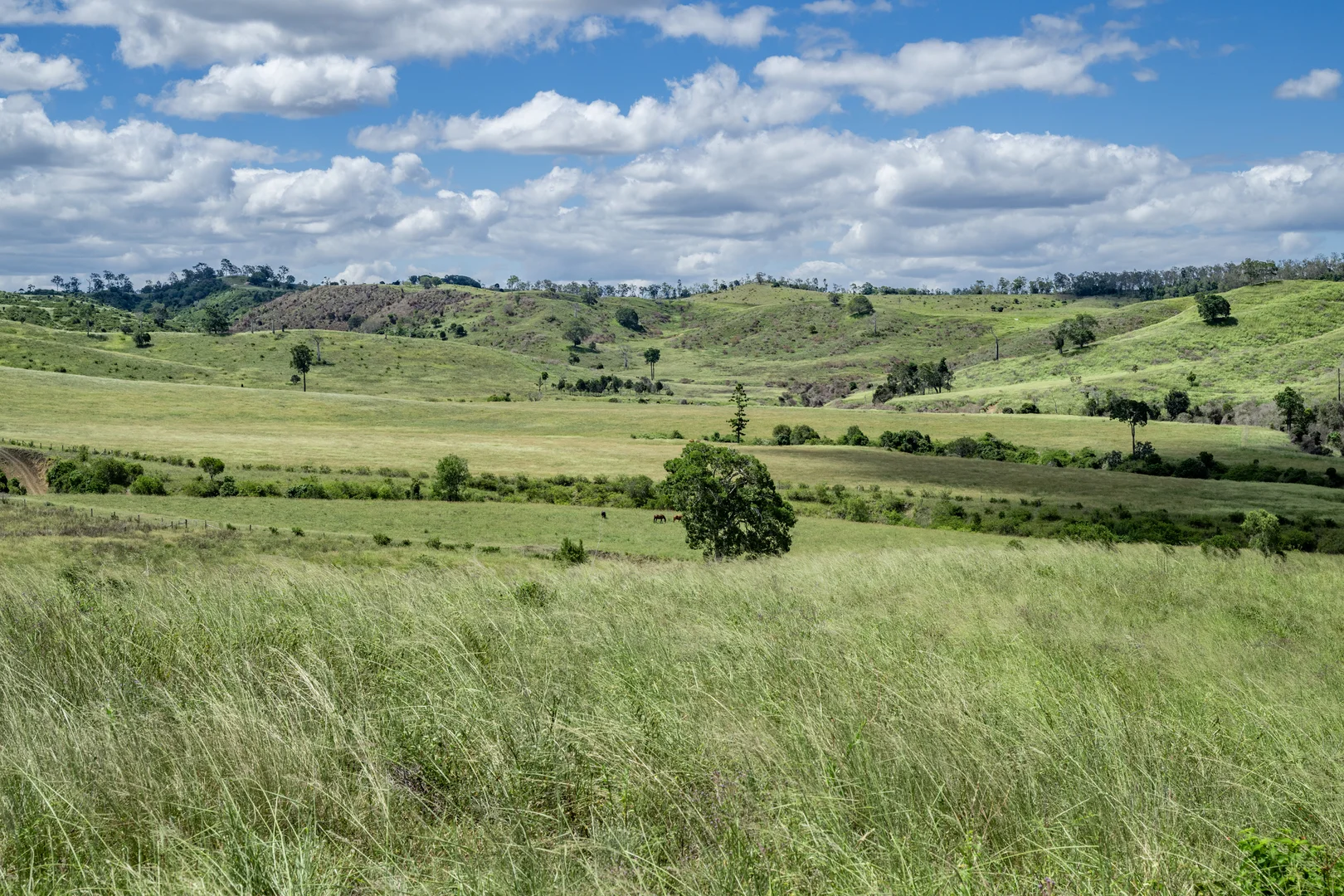 Additional image 25 of 'Double Knob' Nangur Road, Tansey QLD 4601