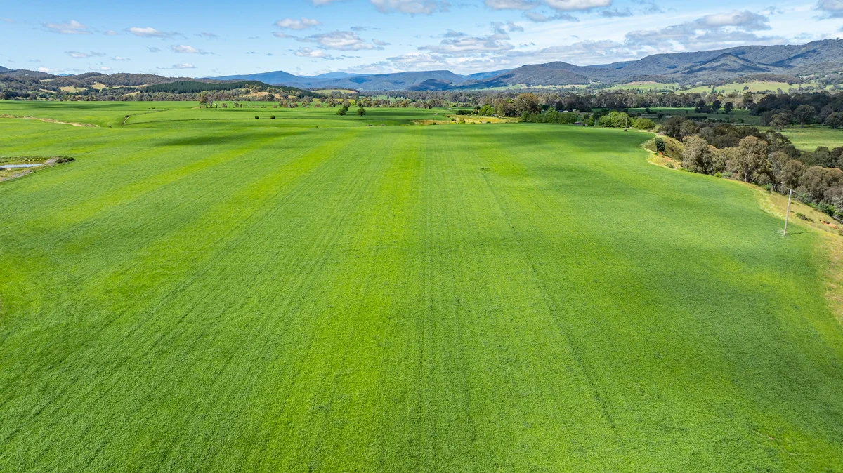 Additional image 6 of 1279 Edi-Cheshunt Road, Whitfield VIC 3733