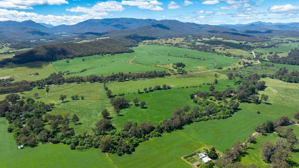 Additional image 27 of 1279 Edi-Cheshunt Road, Whitfield VIC 3733