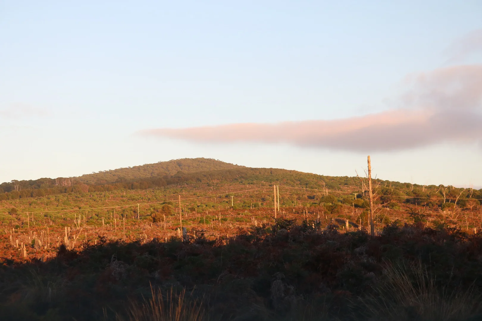 Additional image 2 of Lot 4 North East River Road, Palana TAS 7255