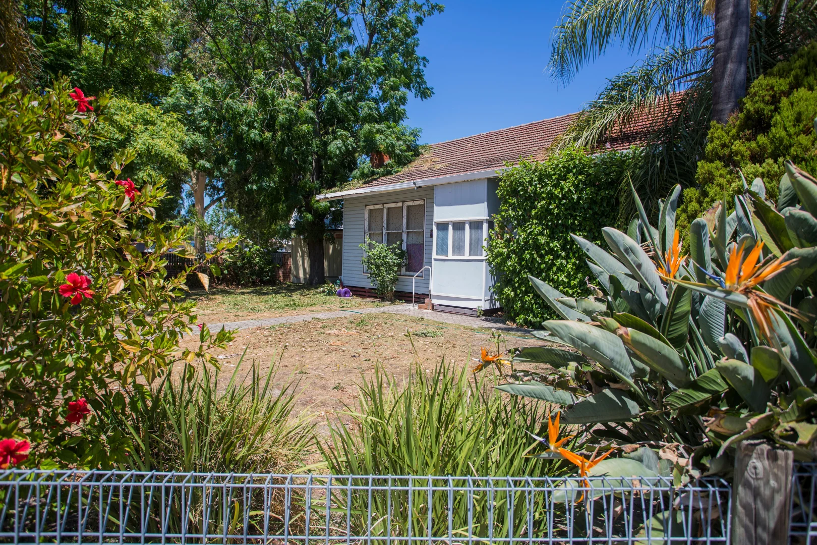 Additional image 5 of 19 Kay Pl, Midland WA 6056