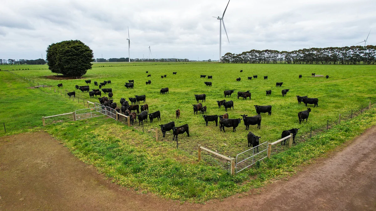 Additional image 41 of 'Laguna' 495 Camerons Road, Woolsthorpe VIC 3276