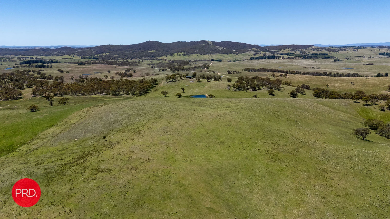 Additional image 19 of 2287 Bungendore Road, Tarago NSW 2580