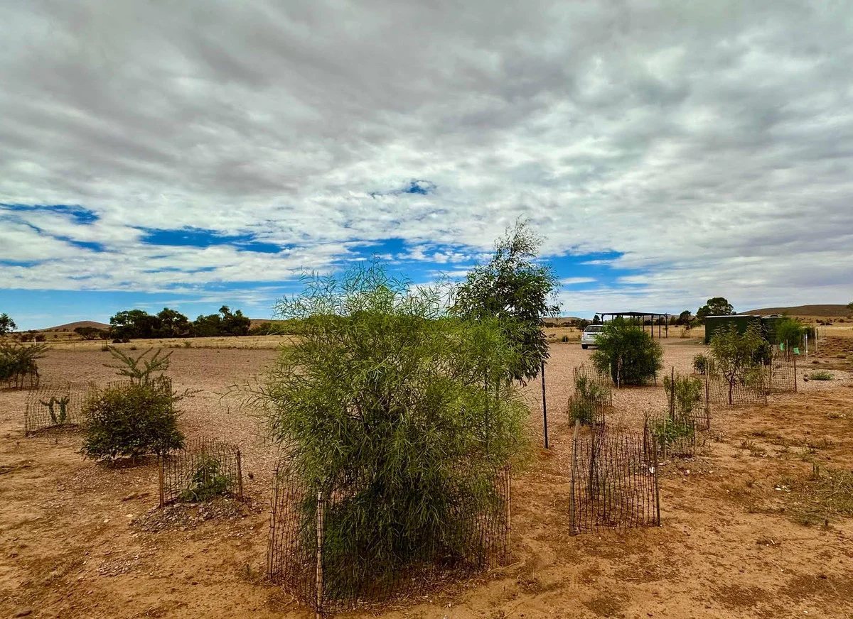 Additional image 10 of 4 Rademaker Road, Carrieton SA 5432