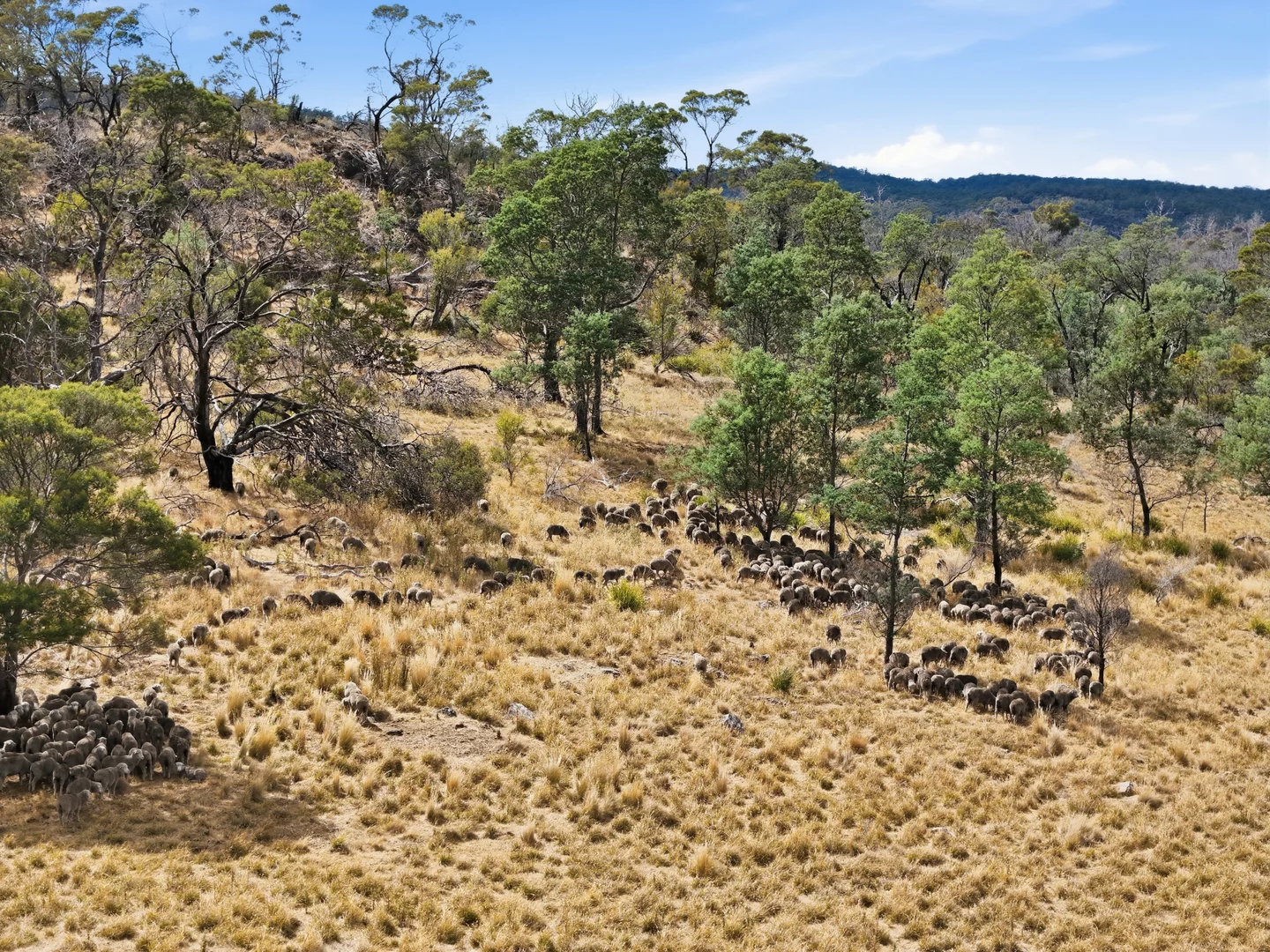Additional image 39 of 75 Prossers Forest Road, Ravenswood TAS 7250