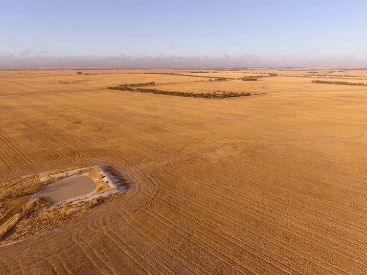 Additional image 4 of 5774 Gnowangerup-Jerramungup Rd, Ongerup WA 6336