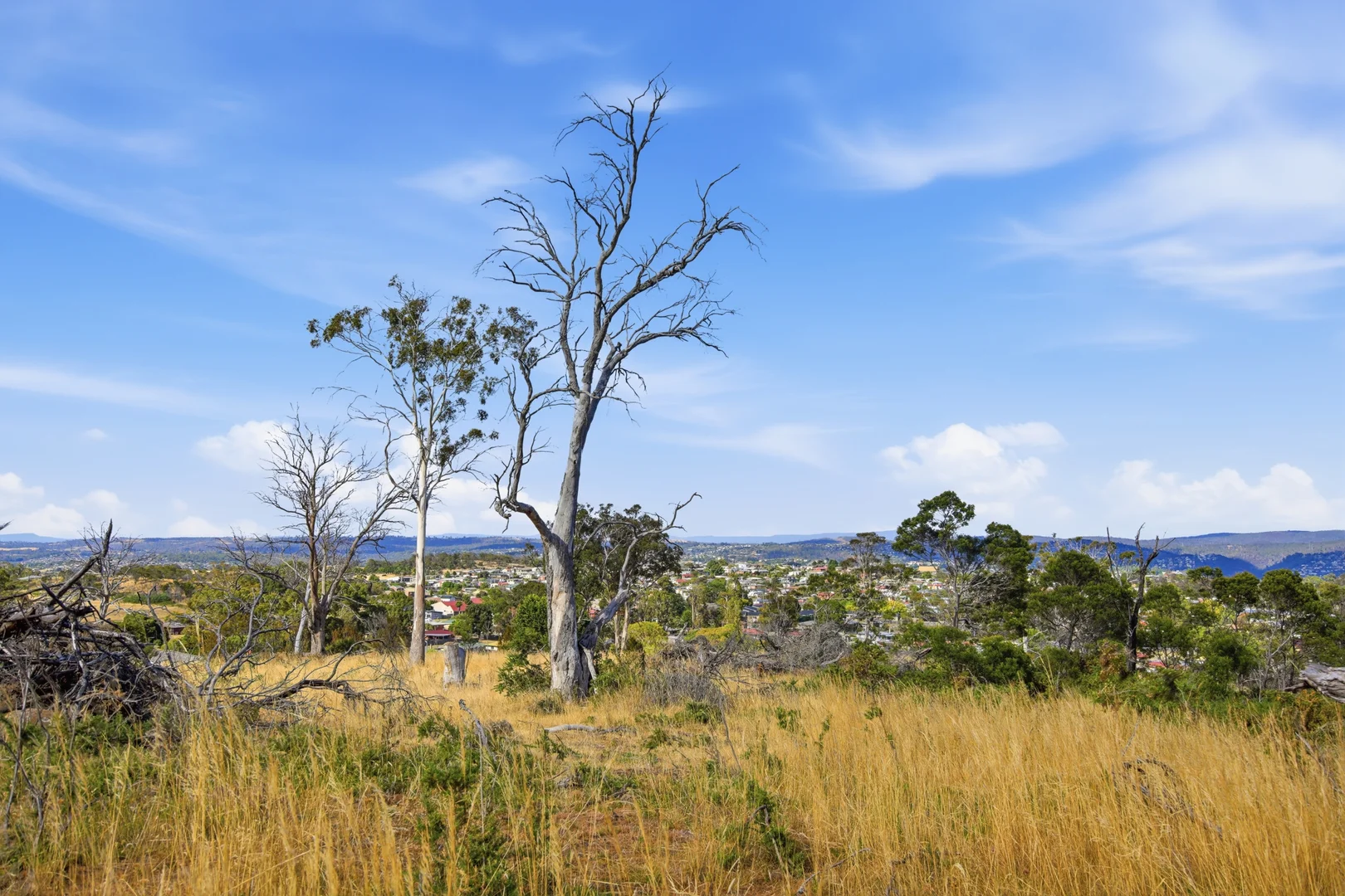 Additional image 5 of 75 Prossers Forest Road, Ravenswood TAS 7250