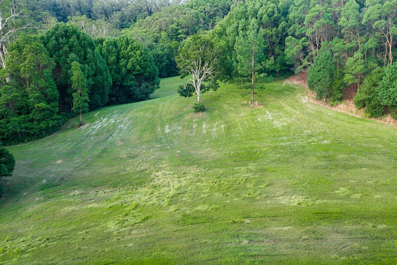 Additional image 25 of 620 The Pocket Road, The Pocket NSW 2483