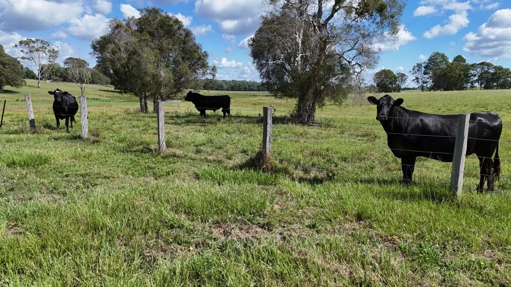 Additional image 4 of Lot 101 Lika Drive, Euroka NSW 2440