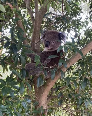 Additional image 12 of 20/6 Lumeah Rd, Somerville VIC 3912