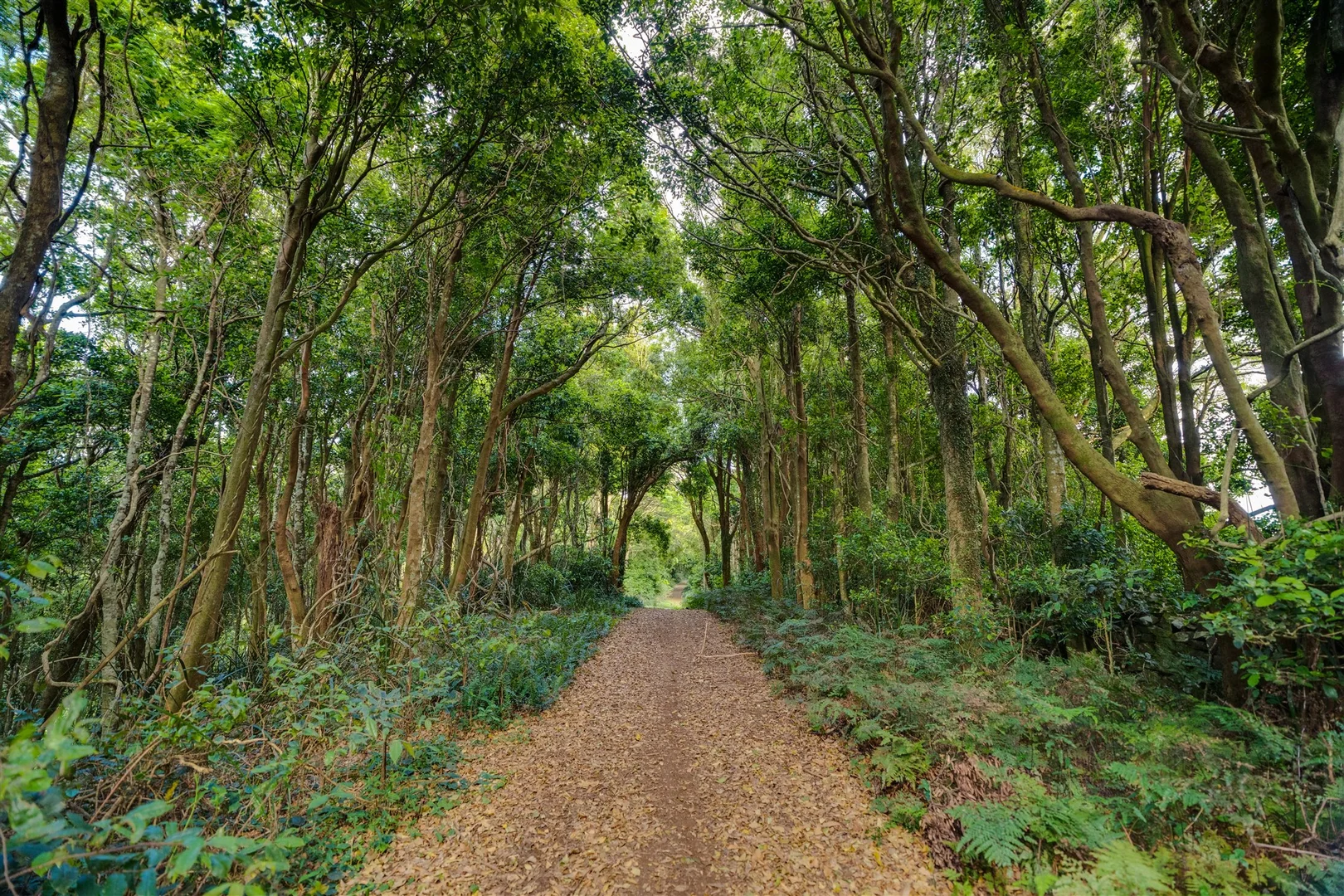 Additional image 7 of 71 Nuninuna Drive, Jamberoo NSW 2533