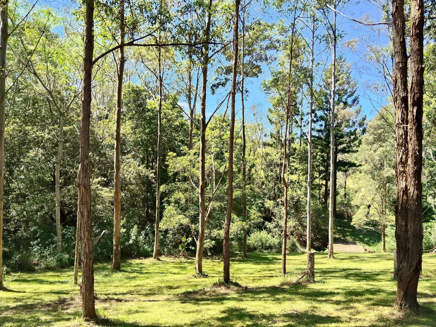 Additional image 22 of 645 Bowraville Road, Bellingen NSW 2454