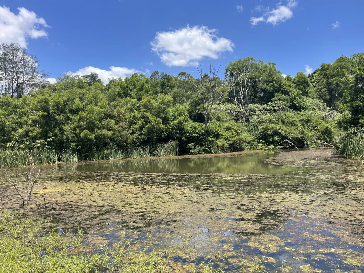 Additional image 2 of Lot 39 Esk-Hampton Road, Ravensbourne QLD 4352