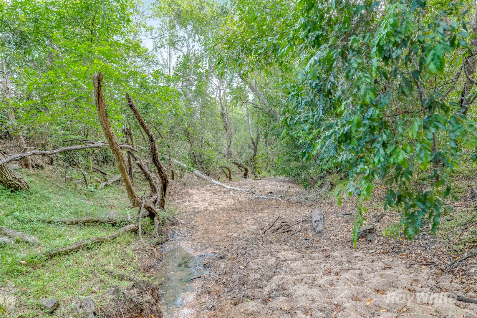 Additional image 21 of 35515 Bruce Highway, Monduran QLD 4671