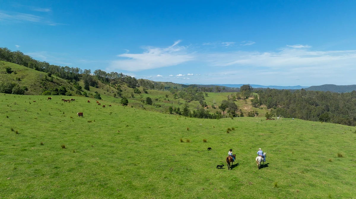 Bingeebeebra Creek, Mummulgum NSW 2469