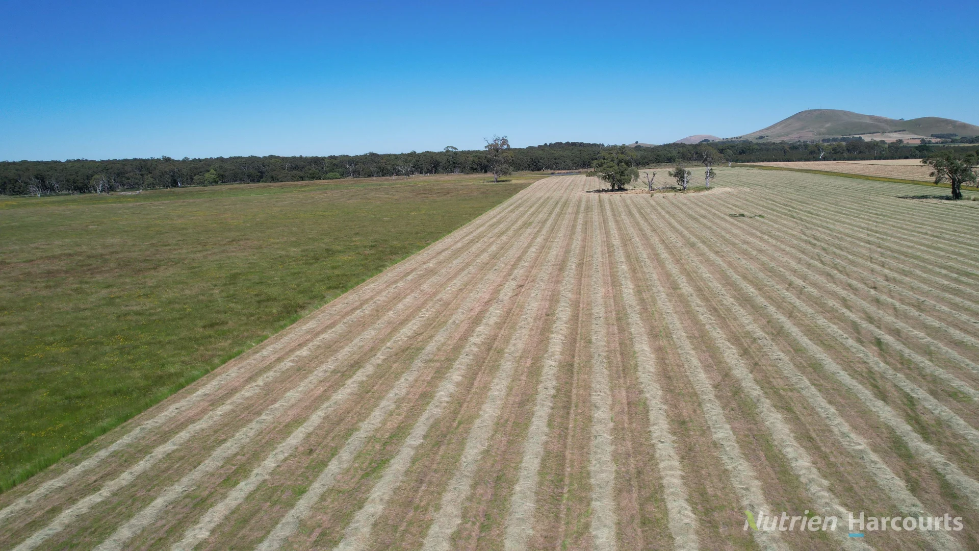 Additional image 7 of CA 46/225 Wilsons Road, Kooroocheang VIC 3364