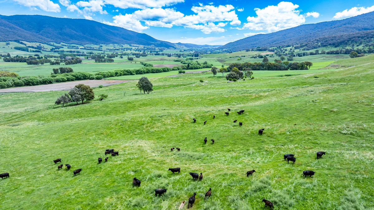 Additional image 11 of Swamp Lane, Dederang VIC 3691