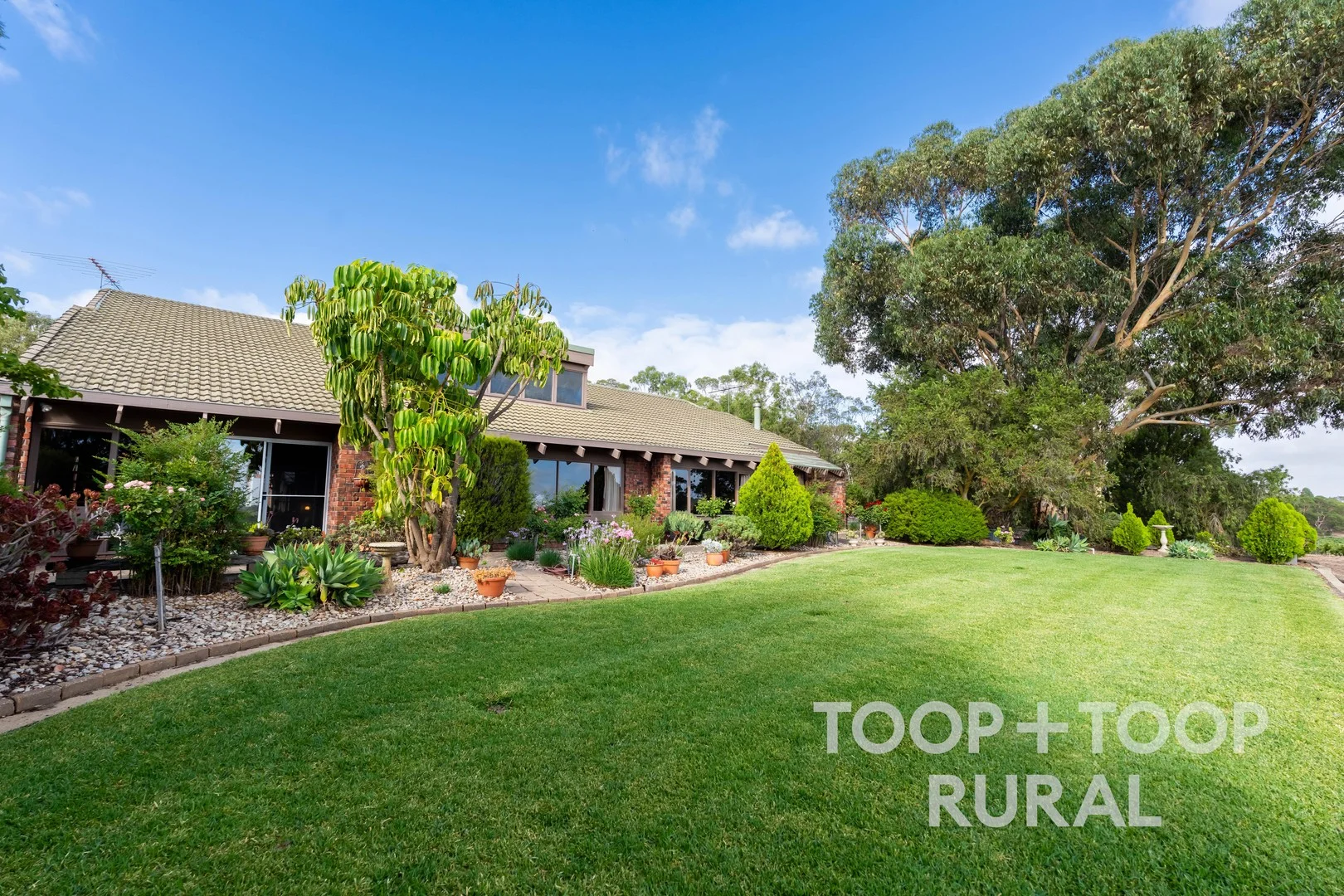 Additional image 31 of 145 Tolley Road, Nuriootpa SA 5355