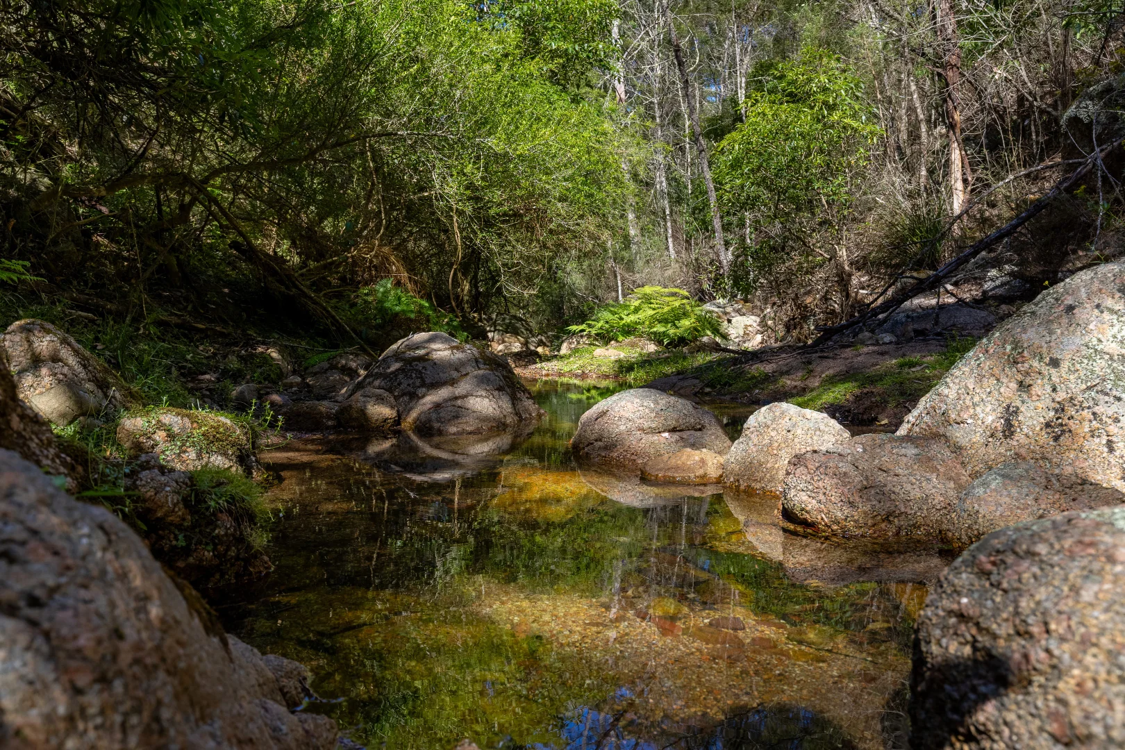 Additional image 3 of 464 Dorrigo Road, Brogo NSW 2550